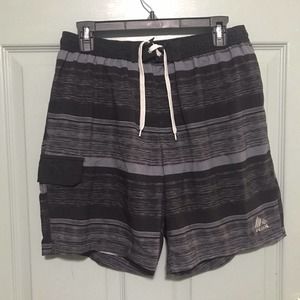 RBX Men's Size Large L Swim Trunks Shorts Mesh Inner Polyester Stripes Gray